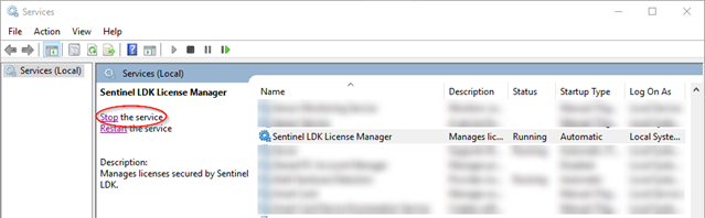 sentinel ldk license manager